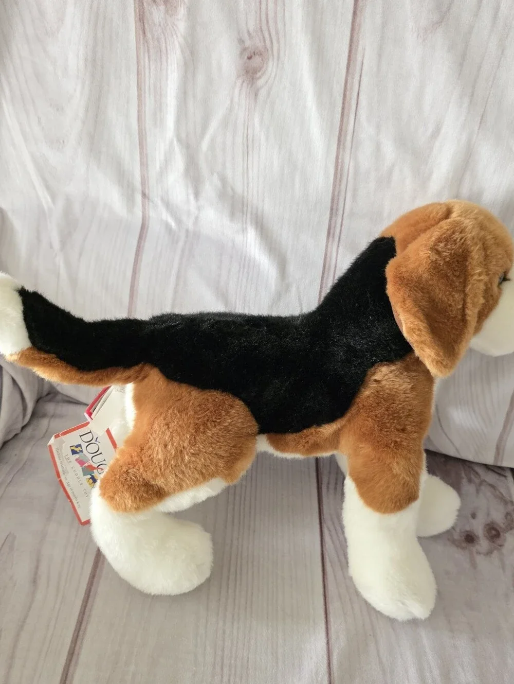 Douglas bernie beagle